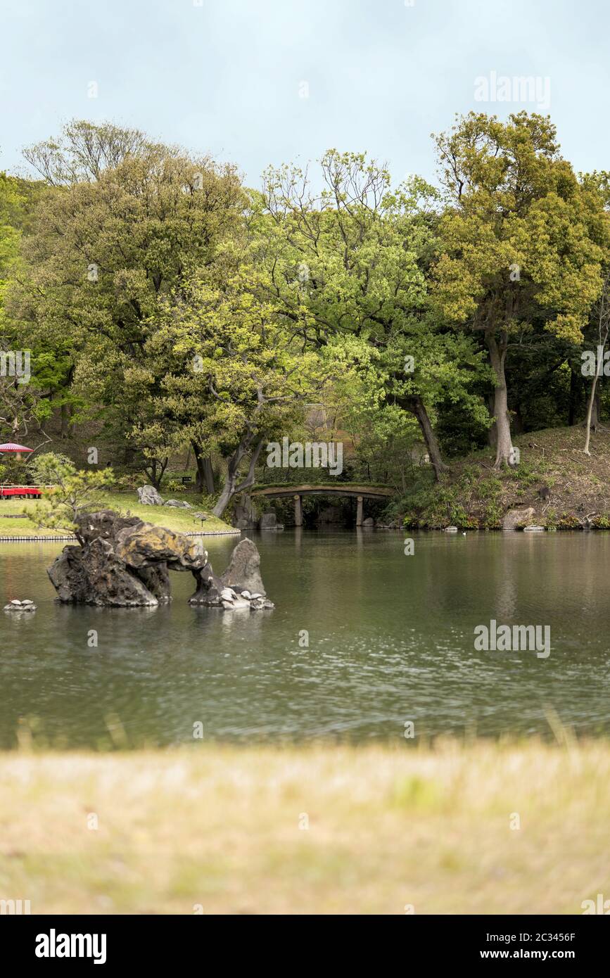 Schildkröten auf der Steininsel Houraijima und der japanischen Holzbrücke Togetsukyo auf dem Teich von Rikug Stockfoto