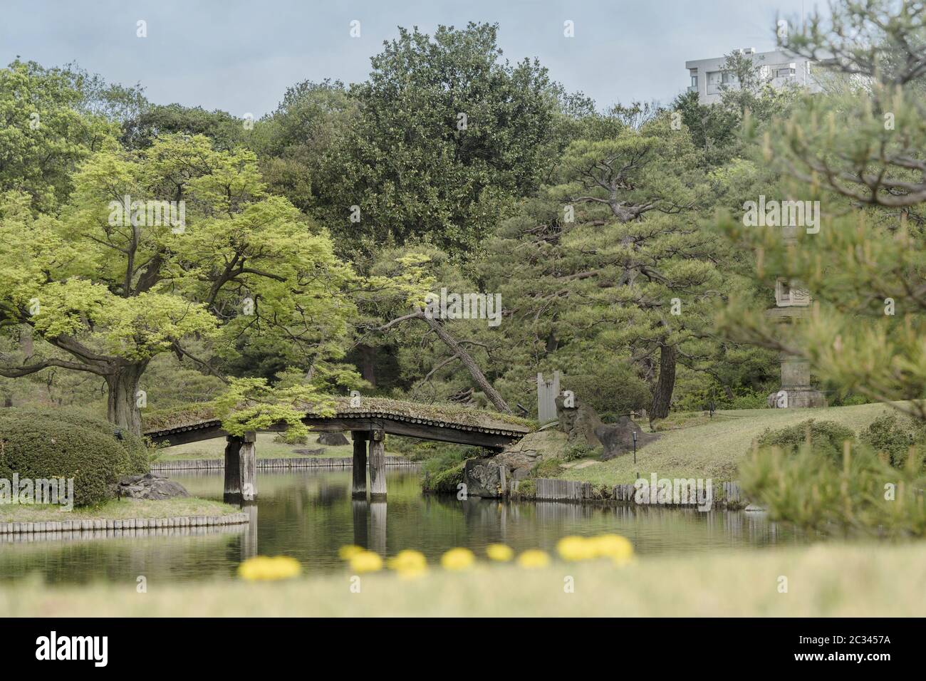 Die japanische Holzbrücke Dentsuru Bride auf dem Teich des Rikugien Parks im Bunkyo Bezirk, nördlich von Stockfoto