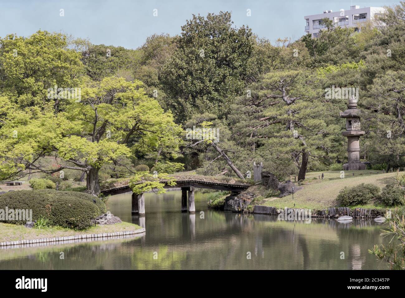 Die japanische Holzbrücke Dentsuru Bride auf dem Teich des Rikugien Parks im Bunkyo Bezirk, nördlich von Stockfoto