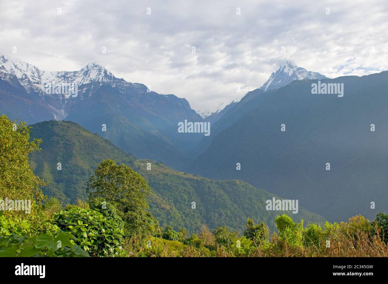 Die Gipfel der Berge Nepals unter den Bäumen sind die Landschaft des Himalaya Stockfoto