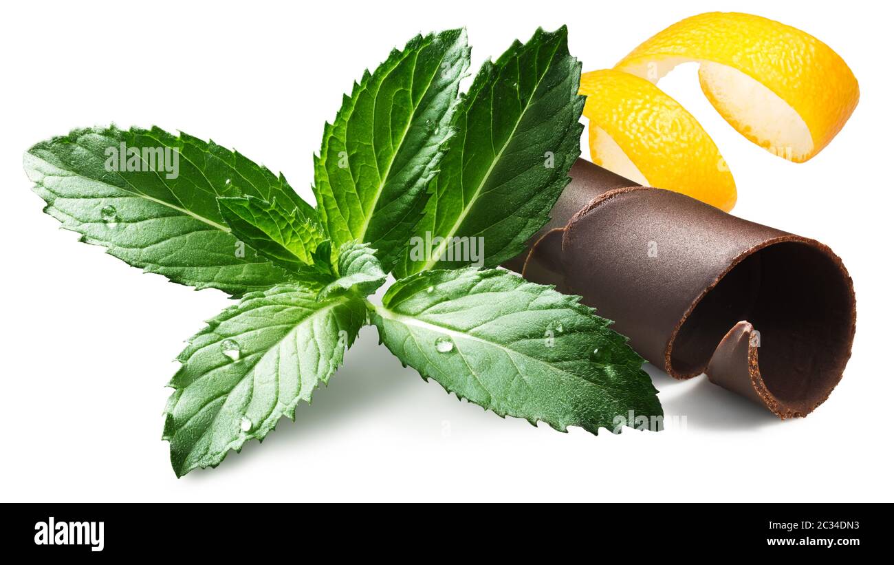 Minze mit Schokolade rasieren und twisted Schalen von Zitrusfrüchten, isoliert Stockfoto