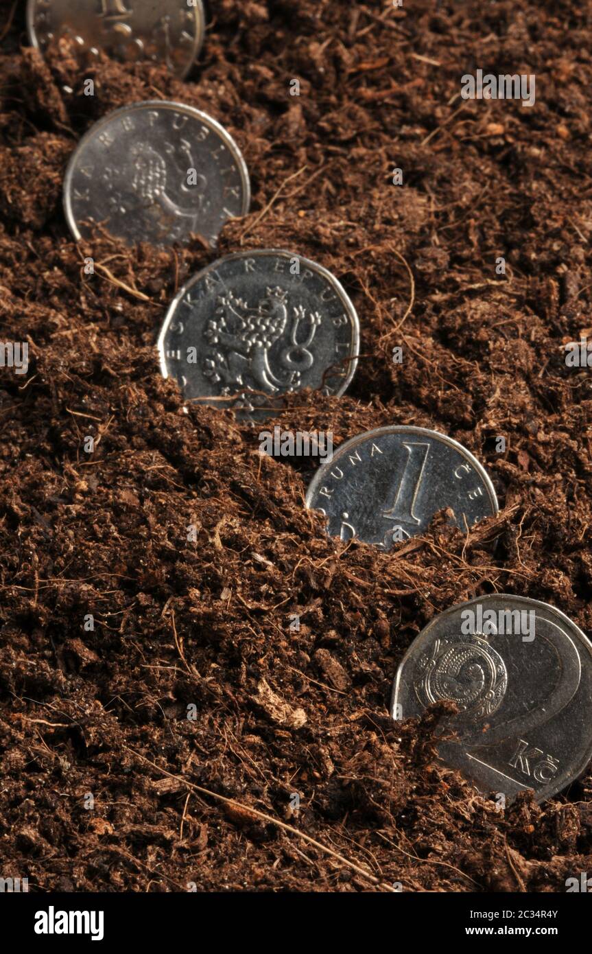 In den Boden gesät sind Münzen der Tschechischen Republik Stockfoto