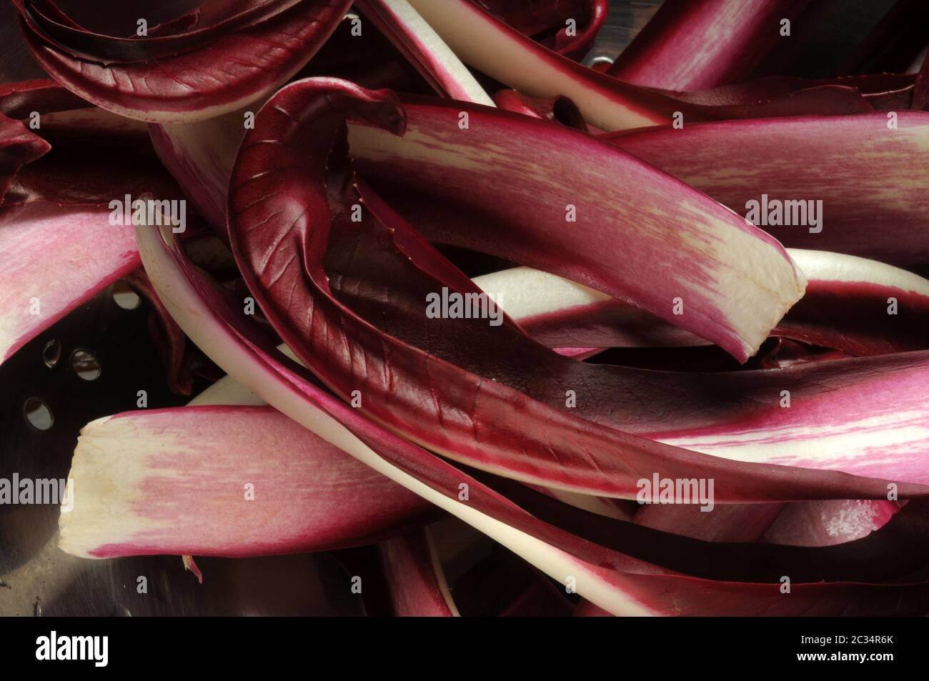 Pasta mit rotem Radicchio aus Treviso und Speck Stockfoto