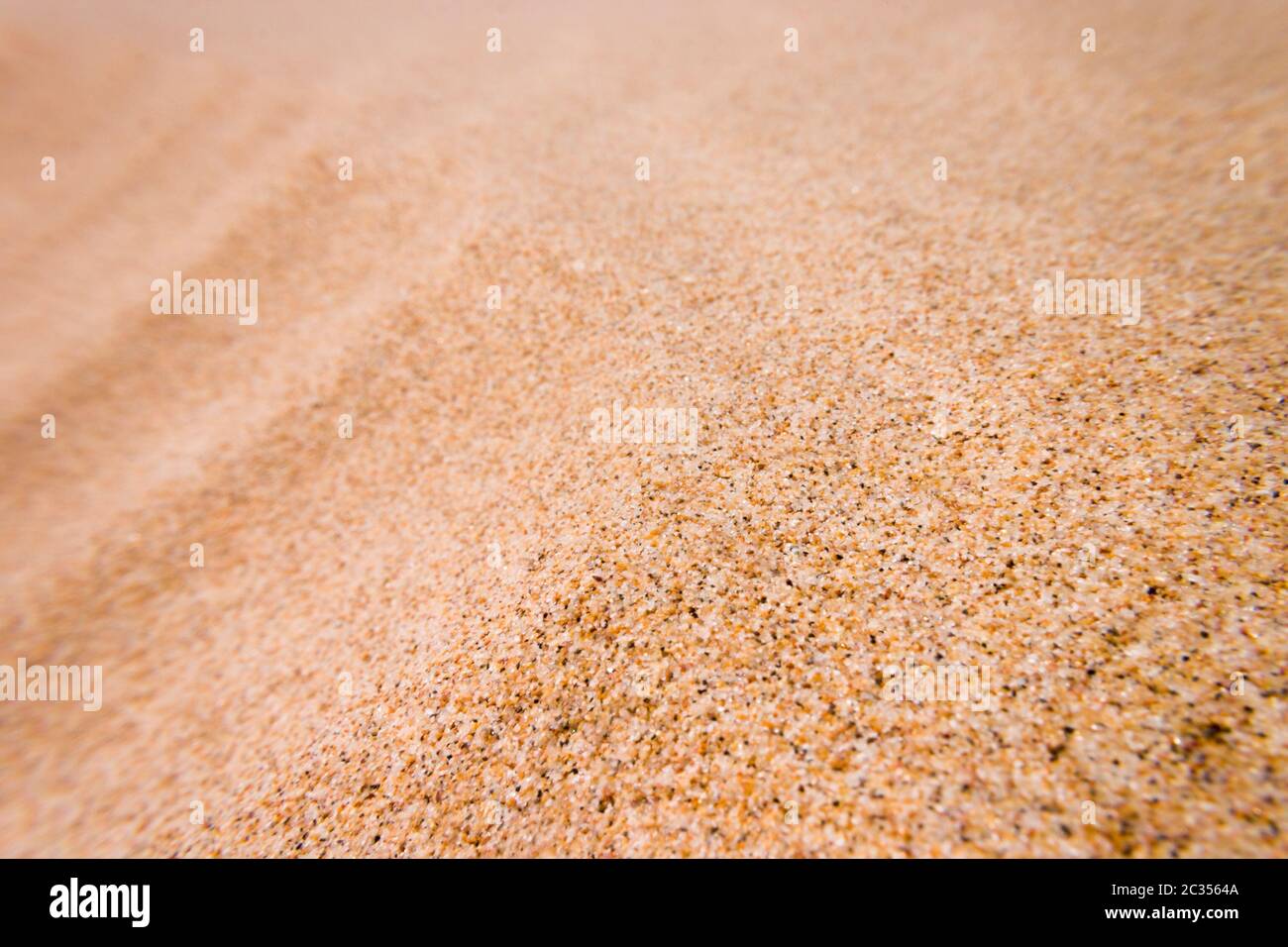 Sandkorn mit Schärfentiefe Stockfoto