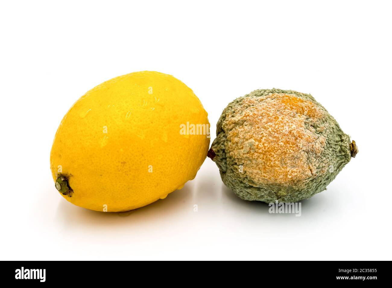 Citrons pourris et frais isolés sur Fond blanc Stockfoto