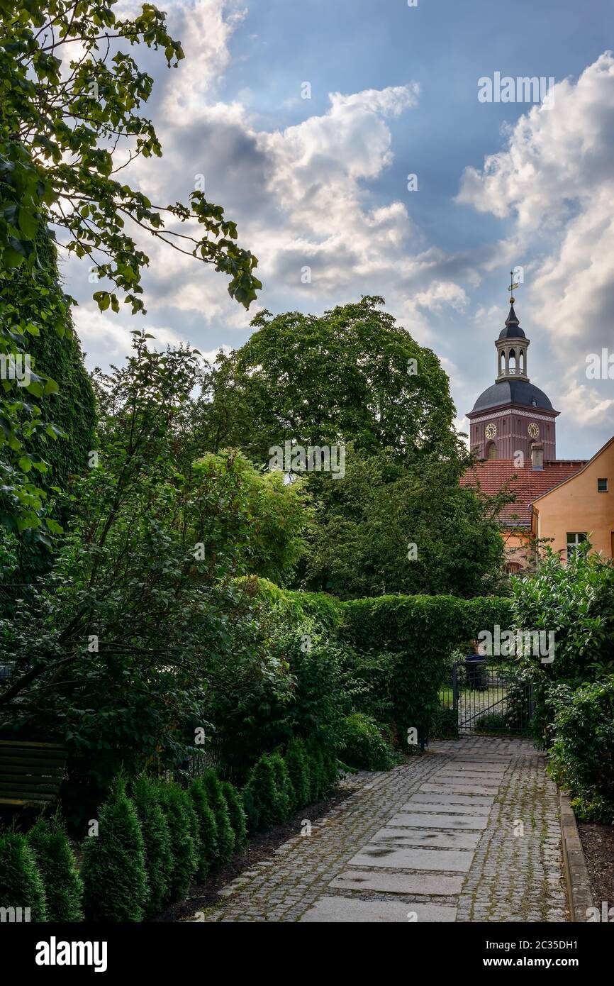 Naturidylle in der Stadt: Blick vom Lindenufer auf die Spandauer Nikolaikirche Stockfoto