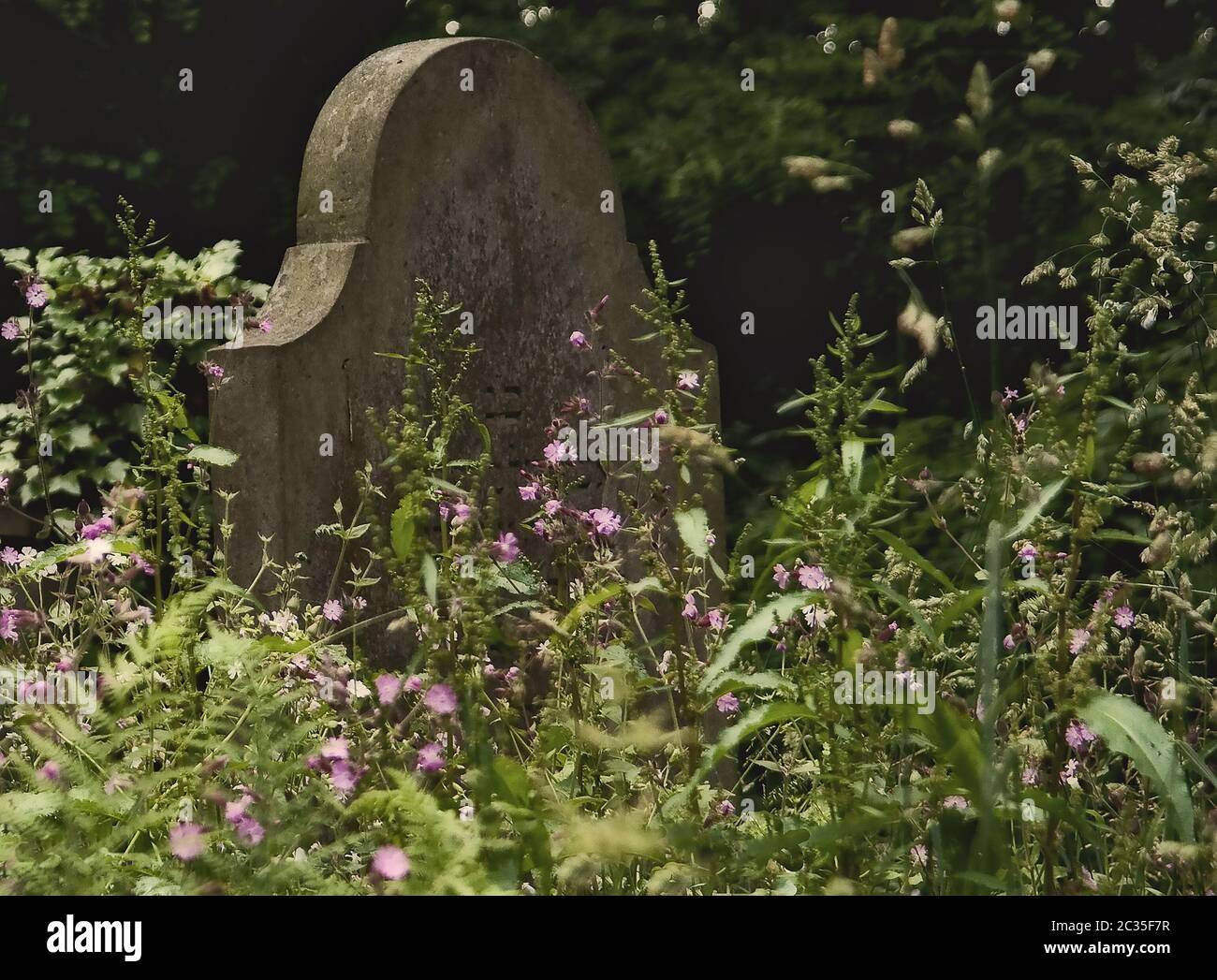 Jüdischer Friedhof Stockfoto