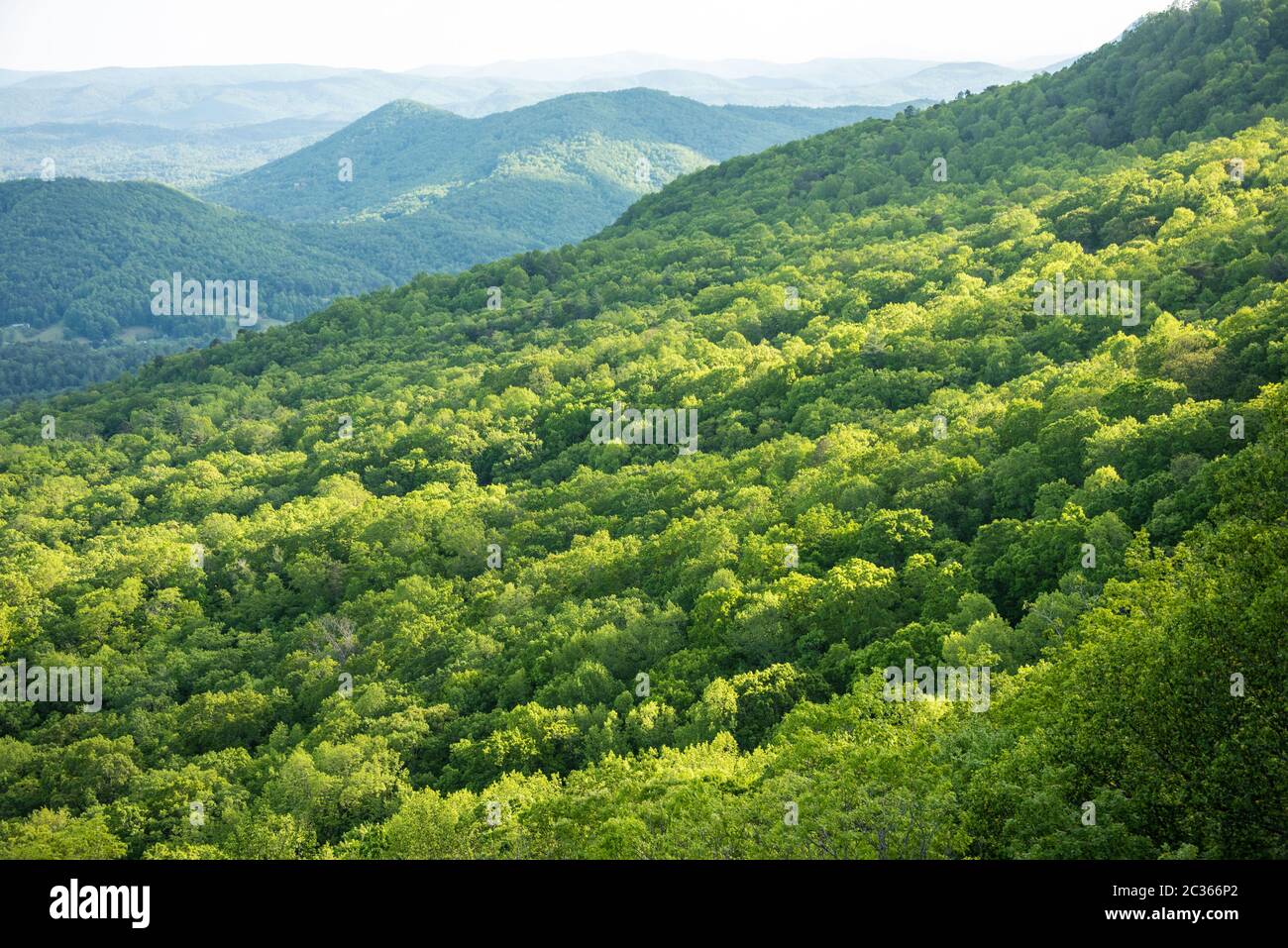 Blick auf die Blue Ridge Mountains vom Black Rock Mountain State Park in Mountain City, Georgia. (USA) Stockfoto