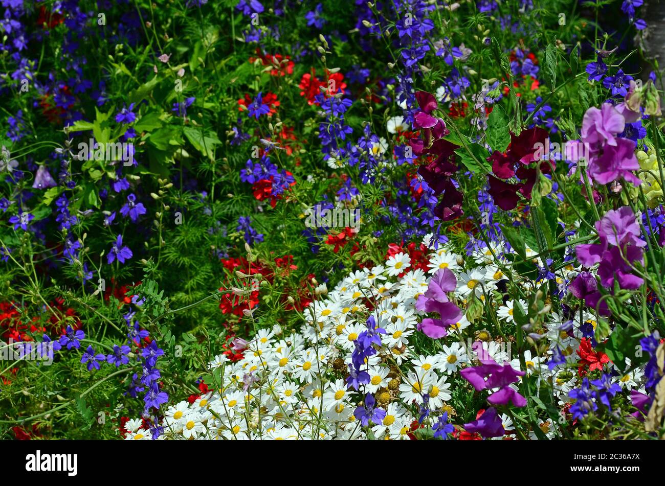 bunte Blumenbeet Stockfoto