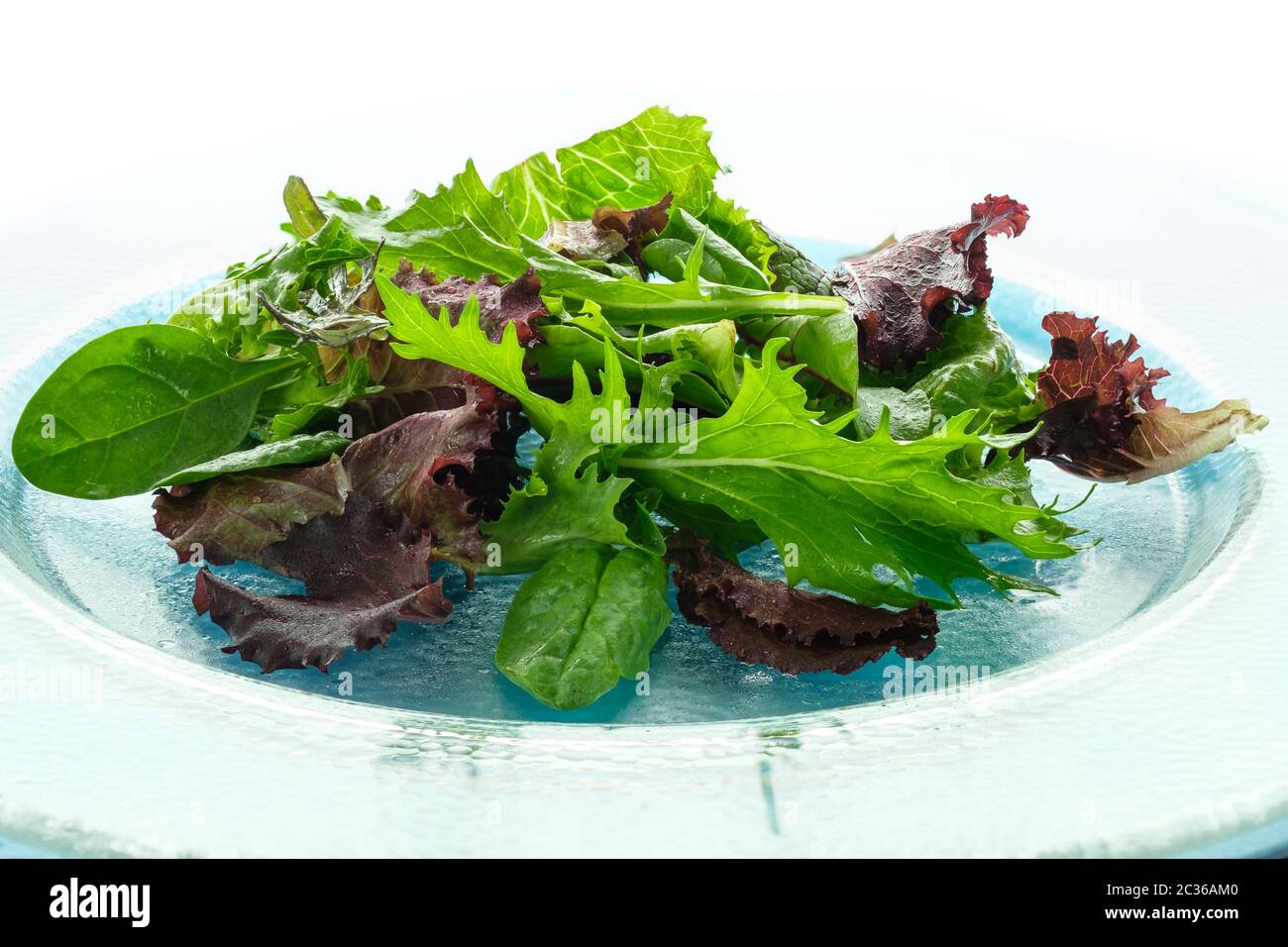 Grün und lila Salat auf einer Glasplatte in der Hintergrundbeleuchtung Stockfoto