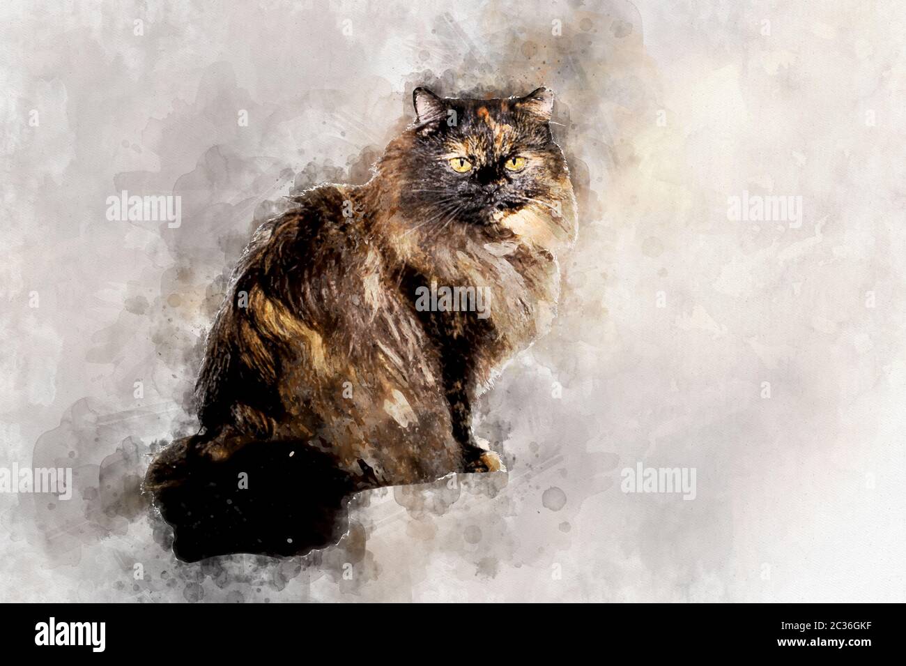 Flauschige schwarzhaarige Katze sitzt und schaut traurig. Stilisierung in Aquarellzeichnung. Stockfoto
