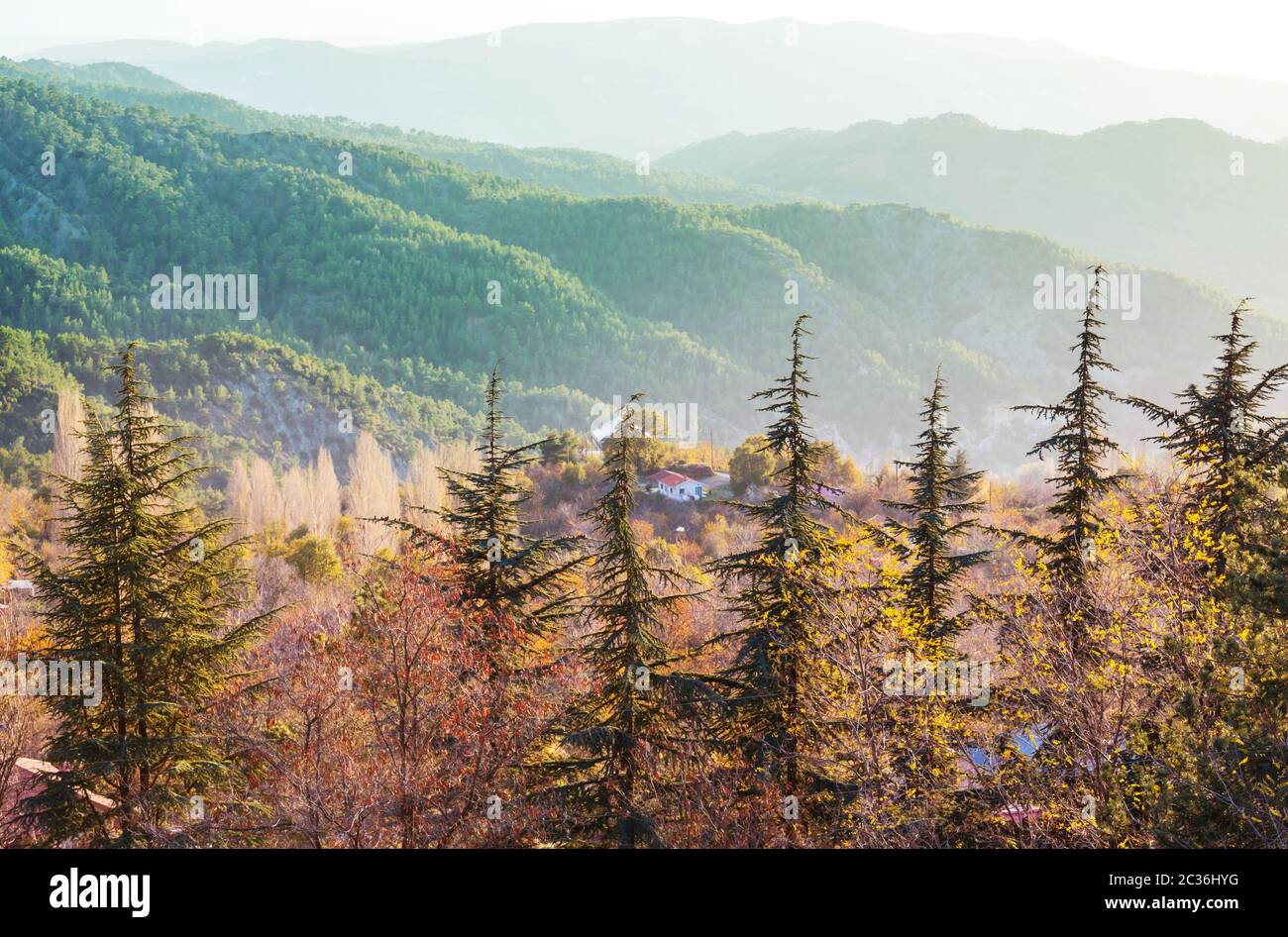 Berge auf Zypern Stockfoto