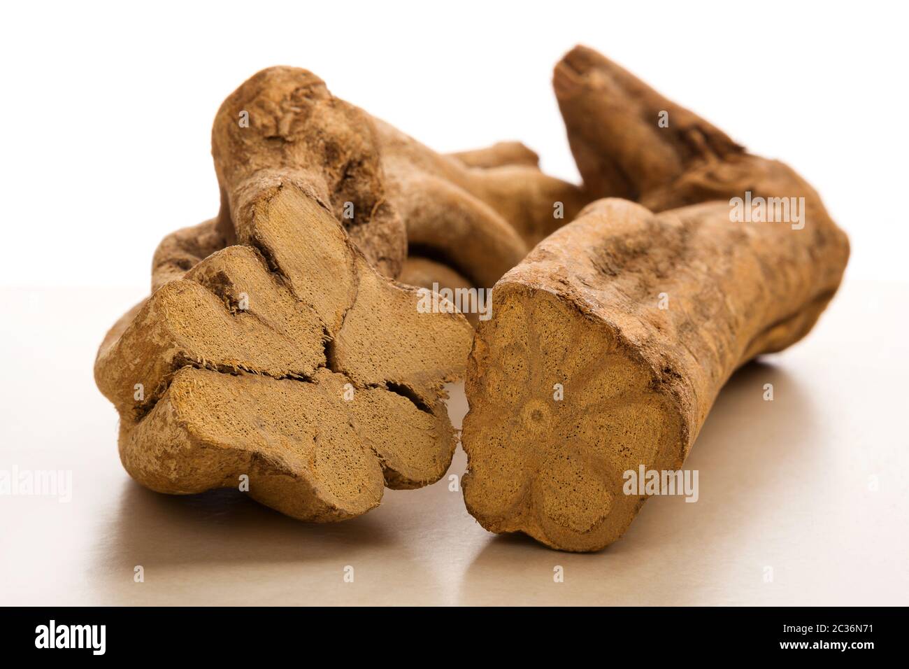 Die traditionelle Medizin Ayahuasca. Banisteriopsis caapi Holzstücke. Medizinische natürliche Psychedelika, Enteogens. Stockfoto