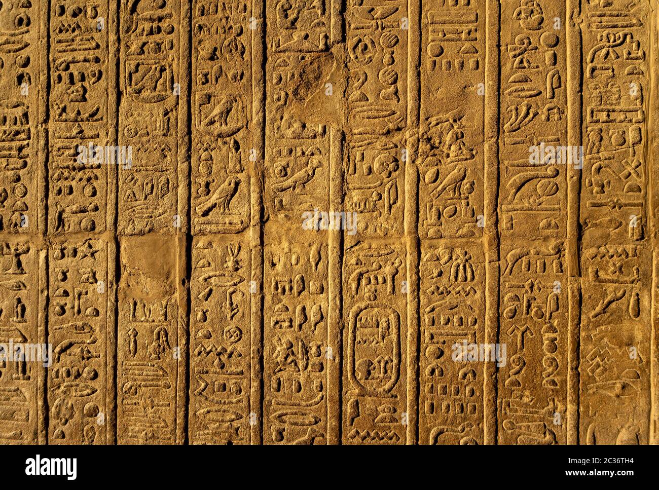 Alte Bilder aus Ägypten und Hieroglyphen Stockfoto