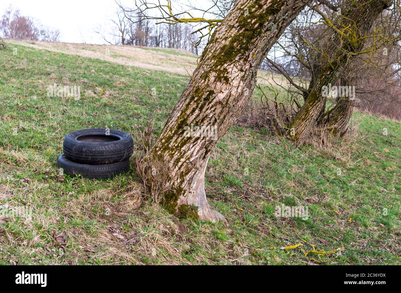 Einige alte Reifen verloren in der Nähe des Baumes Stockfoto