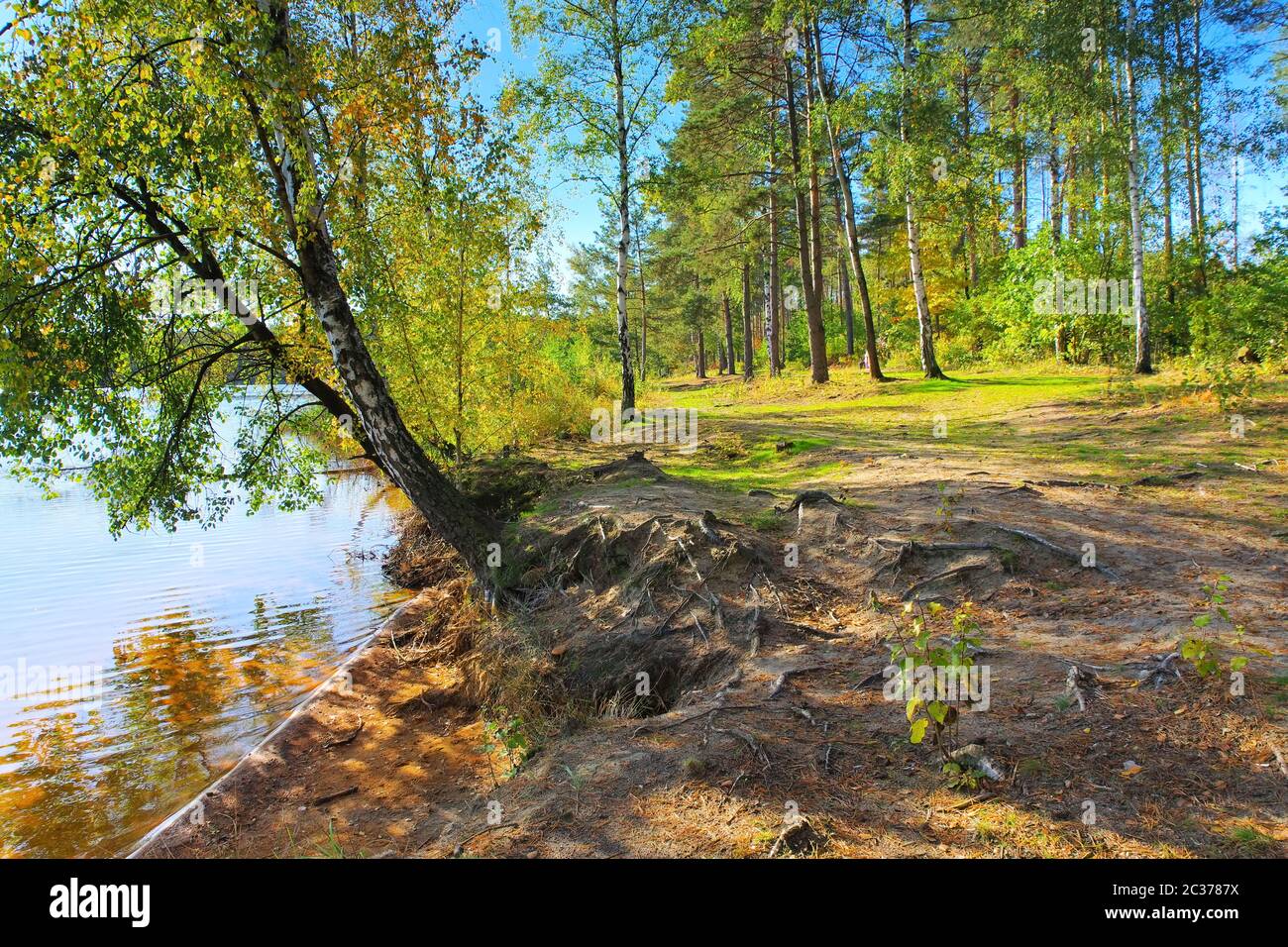 Senftenberg See Strand, Lausitzer Seenplatte Stockfoto