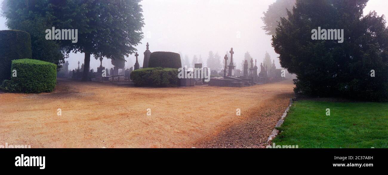 Panoramablick auf einen Friedhof mit Morgennebel mit alten Grabsteinen und niemand dort und Gras und Bäumen im Herbst Stockfoto