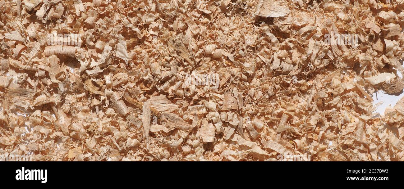 Holzstaub Holzstaub Nebenprodukt oder Abfallprodukt der Holzbearbeitung Arbeiten wie Sägen Fräsen Hobeln routing Bohren und Schleifen aus feinen Pa Stockfoto