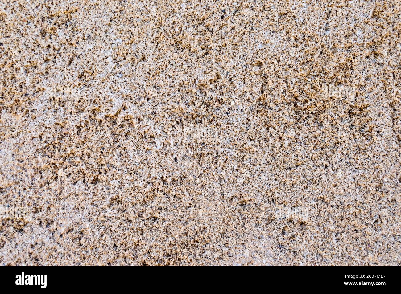 Die Hintergrundtextur ist eine raue, blassrosa Wand mit einer sehr körnigen Oberfläche und vielen kleinen hervorstehenden Steinen. Stockfoto