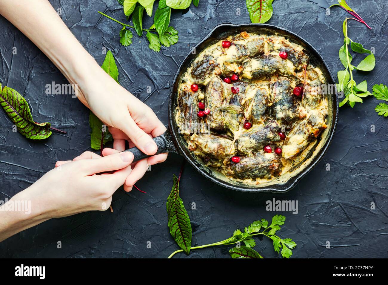 Bratpfanne mit gekochtem orientalischen Dolma in den Händen.appetitlich orientalischen Essen.Dolma in Traubenblättern. Stockfoto