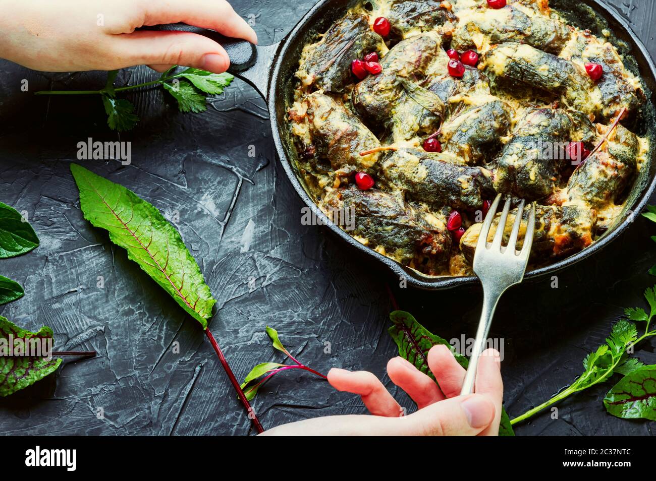 Bratpfanne mit gekochtem orientalischen Dolma in den Händen.appetitlich orientalischen Essen.Dolma in Traubenblättern. Stockfoto