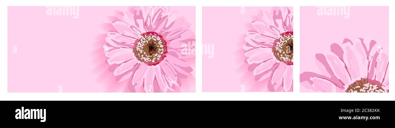 Satz Hintergründe mit Frühlingsblumen. Formatieren Sie Story, Banner und instagram. Rosa Blume. Hintergrund zum Einfügen von Text. Design mit Grußansage für Damen Stockfoto