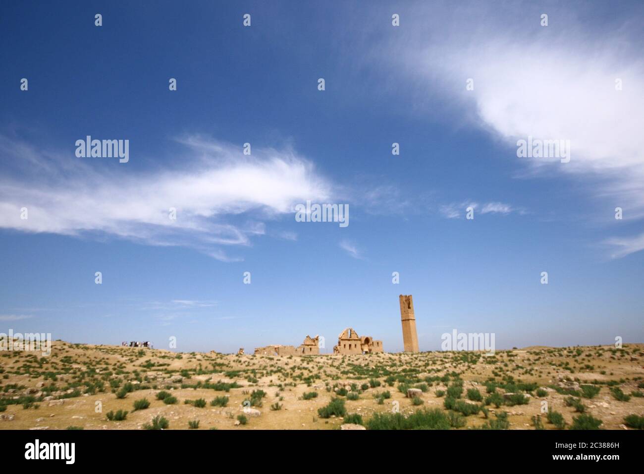 Ruinen der Universität in Harran. Es war eines der wichtigsten Ayyubid Gebäude der Stadt, im klassischen Revival-Stil gebaut.Sanliurfa, Türkei. Stockfoto