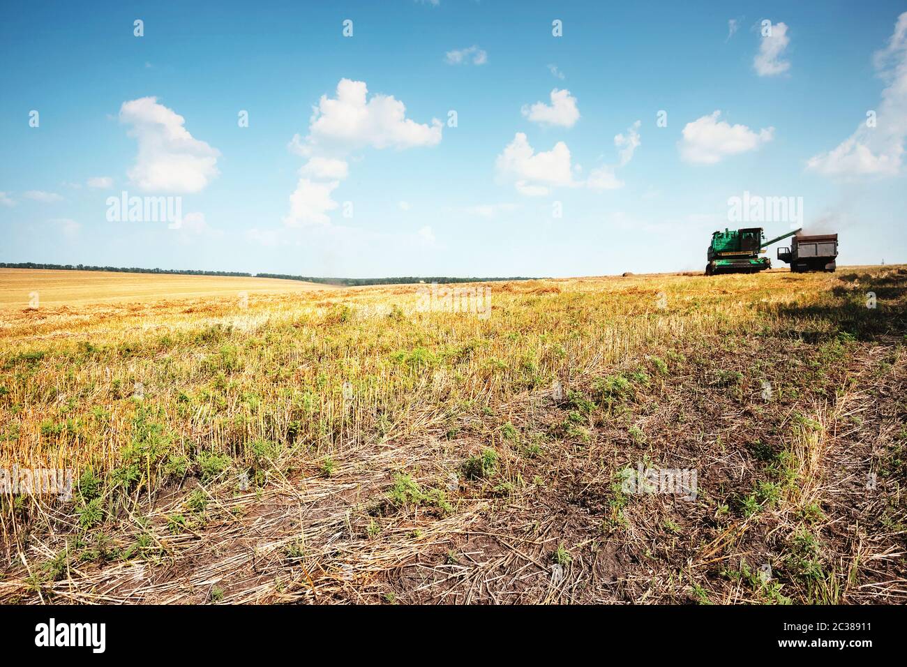 Mähdrescher auf Feld mit Weizen tagsüber Stockfoto