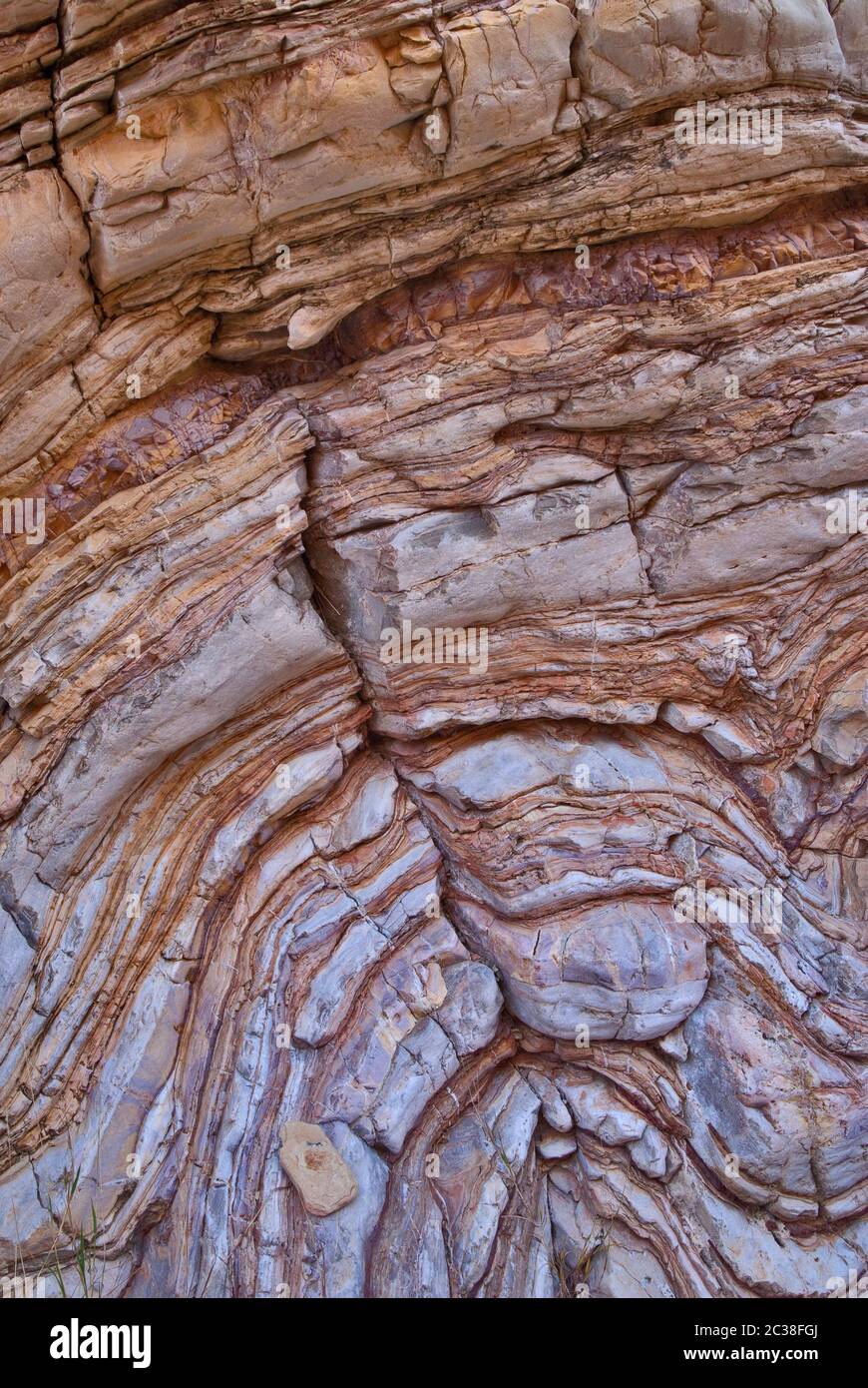 Boquillas bilden Kalkstein- und Schieferschichten über den Ernst Tinaja Wasserbecken im Ernst Canyon, Chihuahuan Wüste im Big Bend Nationalpark, Texas, USA Stockfoto