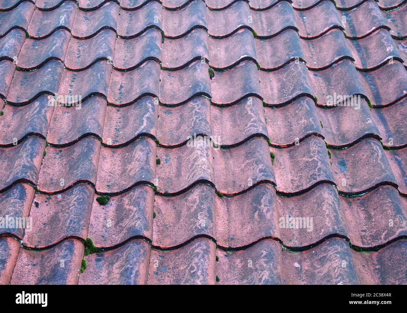 Ein Vollformat Bild der traditionellen alten Terrakotta gekrümmten überlappenden Pantile Dachziegel Stockfoto