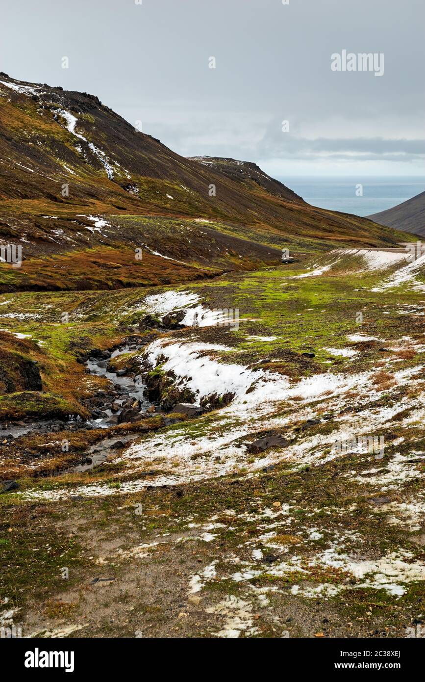 Gebirge in Borgarfjordur Eystri, Island Stockfoto