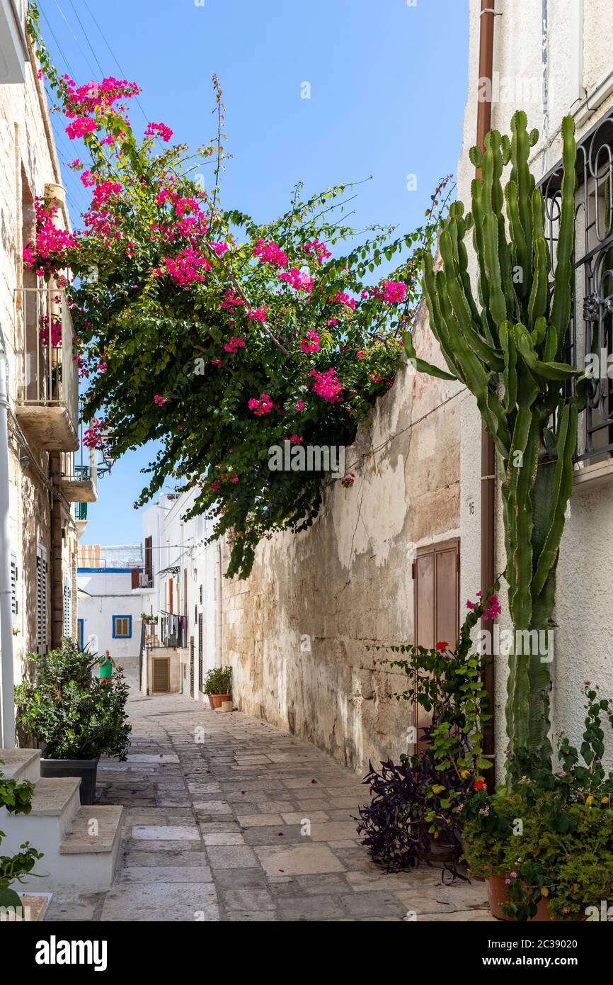 Polignano a Mare, Italien - 17. September 2019: Das charmante und romantische Altstadt von Polignano a Mare und Apulien, Süditalien Stockfoto