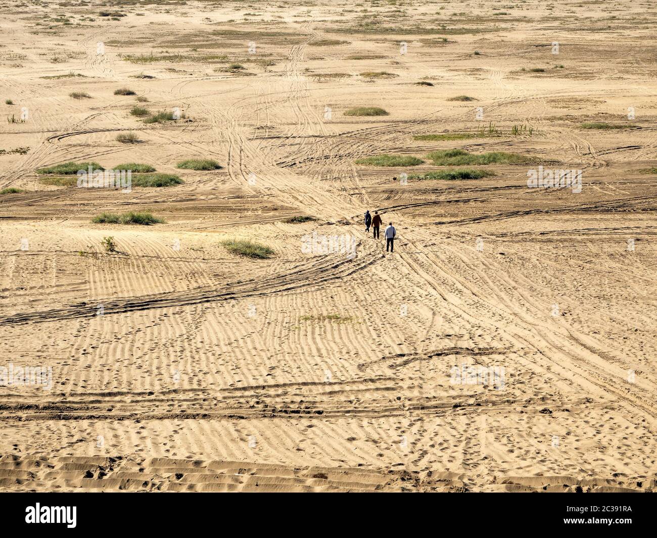 Blendow Wüste (Pustynia Blendowska) in Polen. Das größte Binnenland, weit weg von jedem Meer, Gebiet von losem Sand in Mitteleuropa. Einzigartige Touristenattraktion Stockfoto