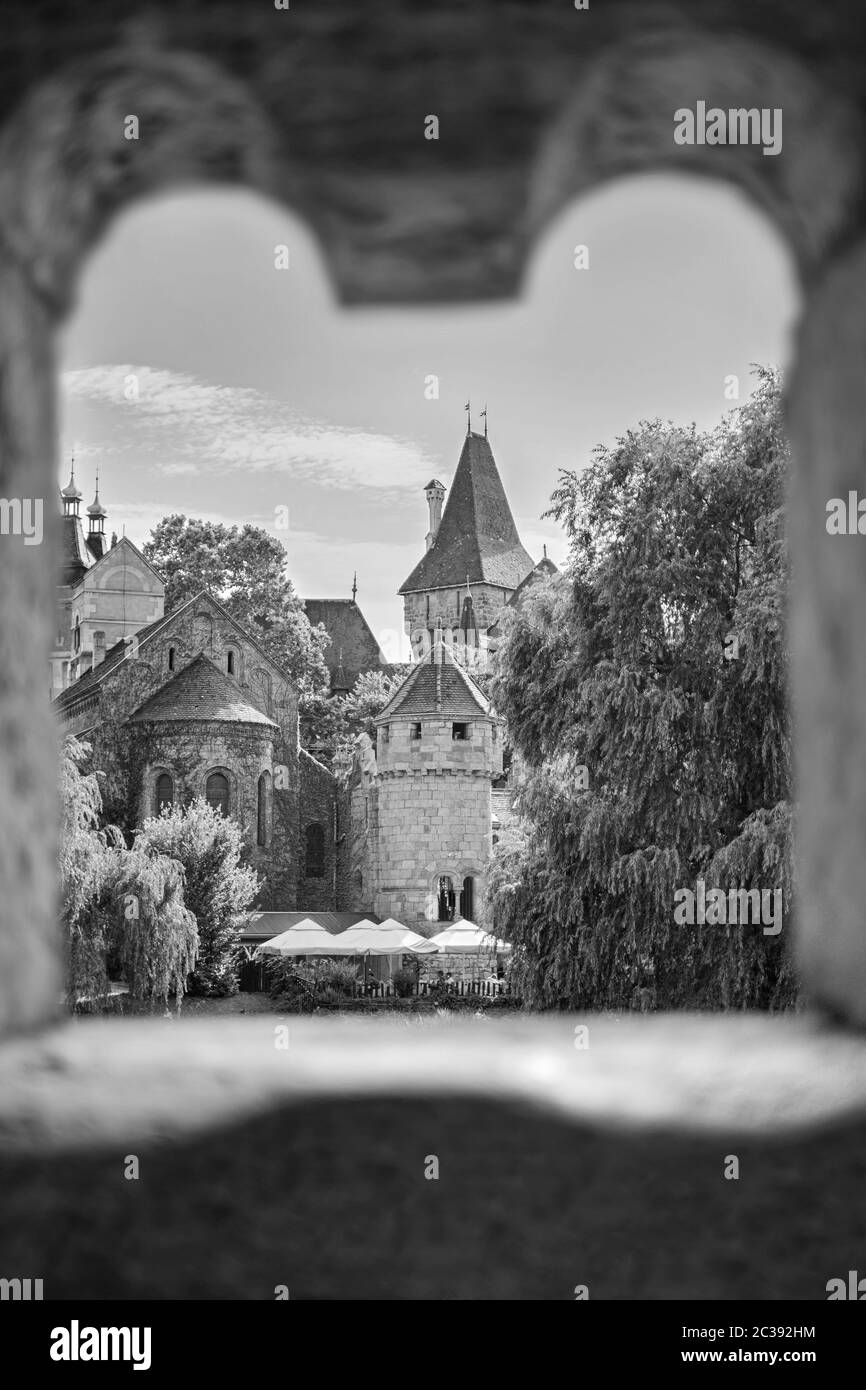 Zauberhafte Märchenschloss. Märchen Konzept. Andere Ansicht der Burg von Vajdahunyad im Stadtpark von Budapest, Ungarn, Europa. Schwarze und weiße Pho Stockfoto