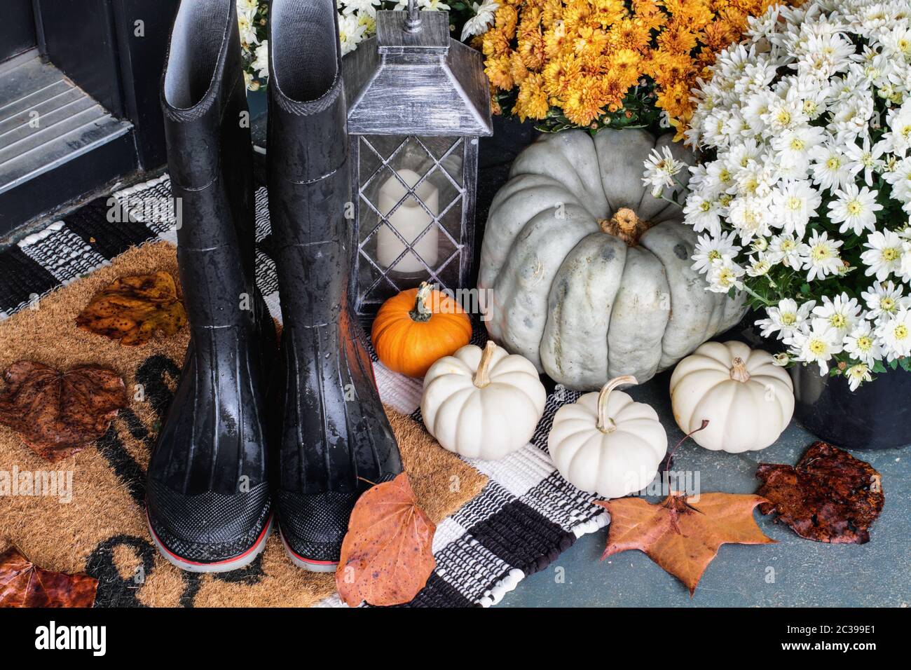 Regenstiefel auf der Veranda für den Herbst mit Erbstück Kürbisse, weiße Kürbisse, Mütter und Büffel karierte Willkommensmatte für eine einladende Atmosphäre dekoriert Stockfoto