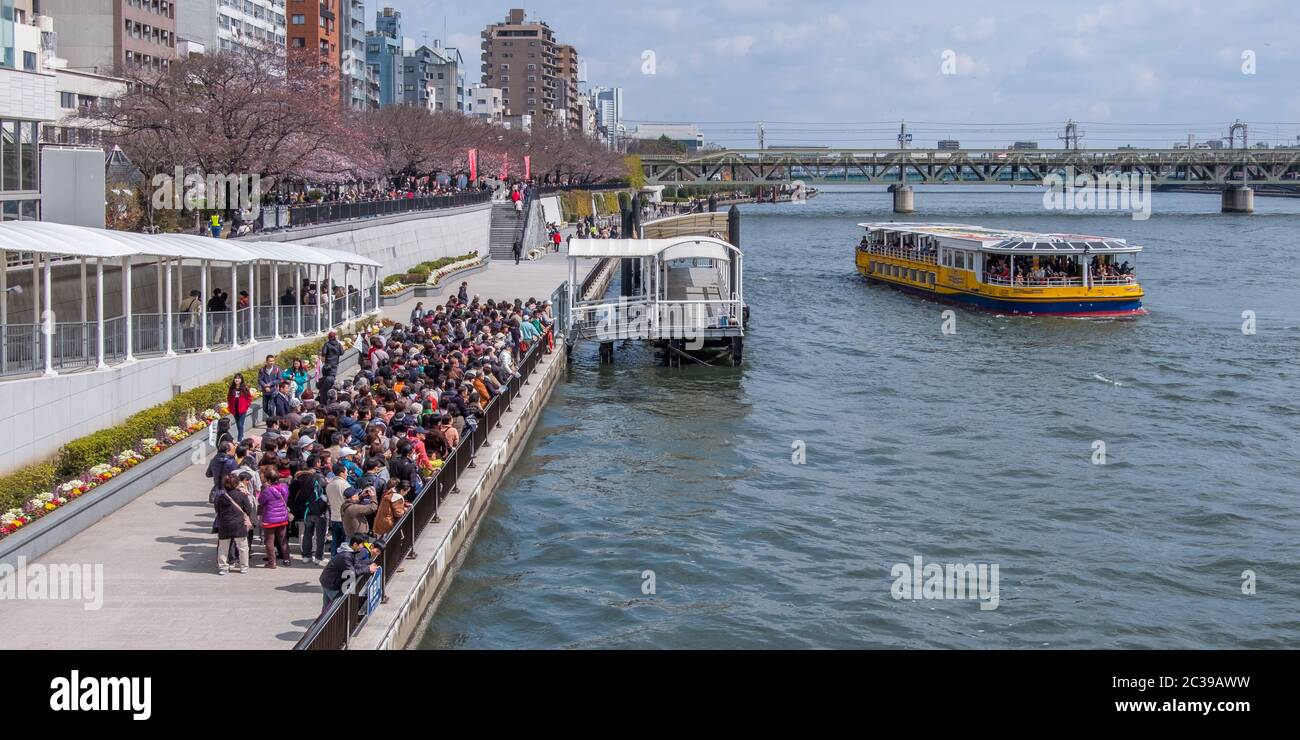 Touristenmassen warten auf einen Wasserbus am Sumida River, Tokyo, Japan. Stockfoto