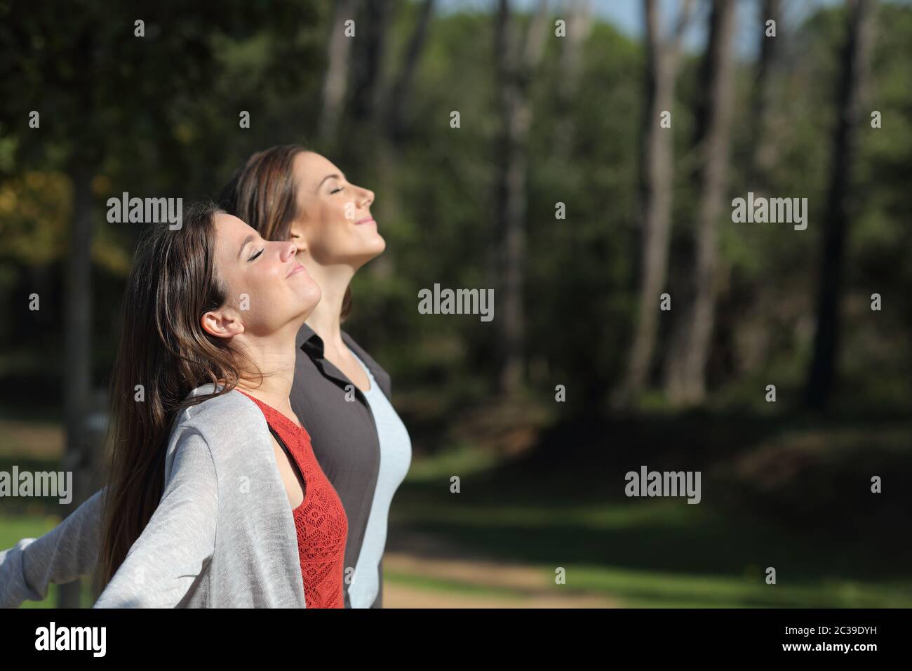 Profil von zwei Frauen entspannt atmen tief die frische Luft stehend in einem Park.jpg Stockfoto