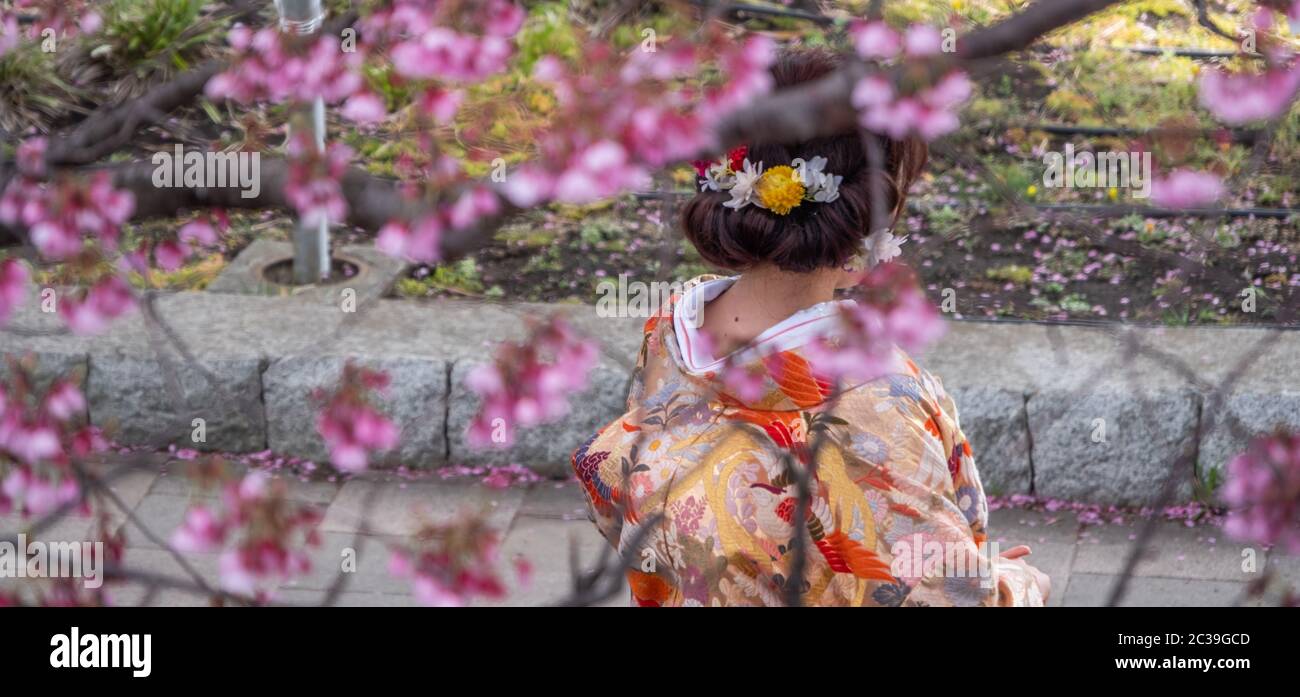 Schönes japanisches Mädchen in buntem Kimono mit Kirschblüte im Vordergrund im Sumida Park, Tokyo, Japan. Stockfoto