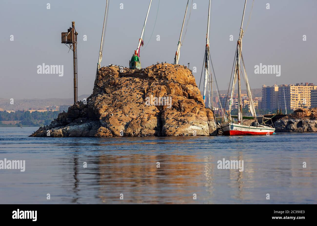 Kleine Insel mit Vögeln am Nilfluss Stockfoto