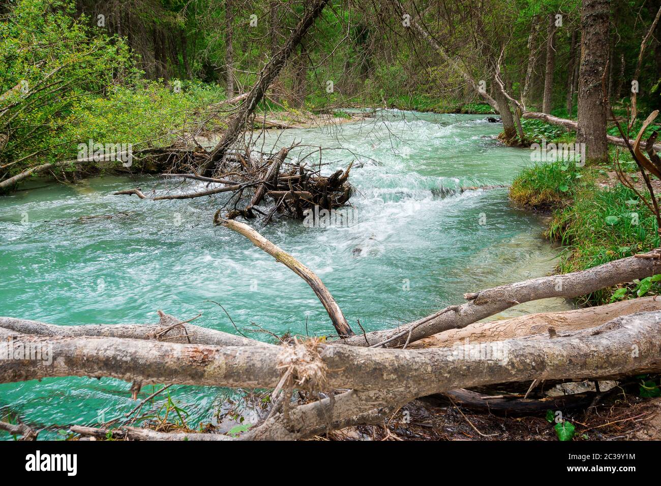 River Rienz Rienz river -Fotos und -Bildmaterial in hoher Auflösung – Alamy