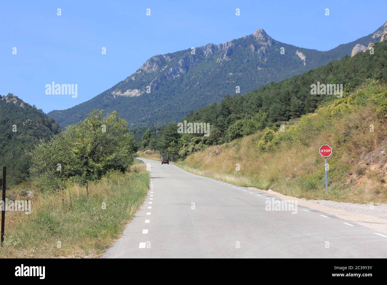 Pi de les Tres Branques und Pre-Pyrenees Stockfoto