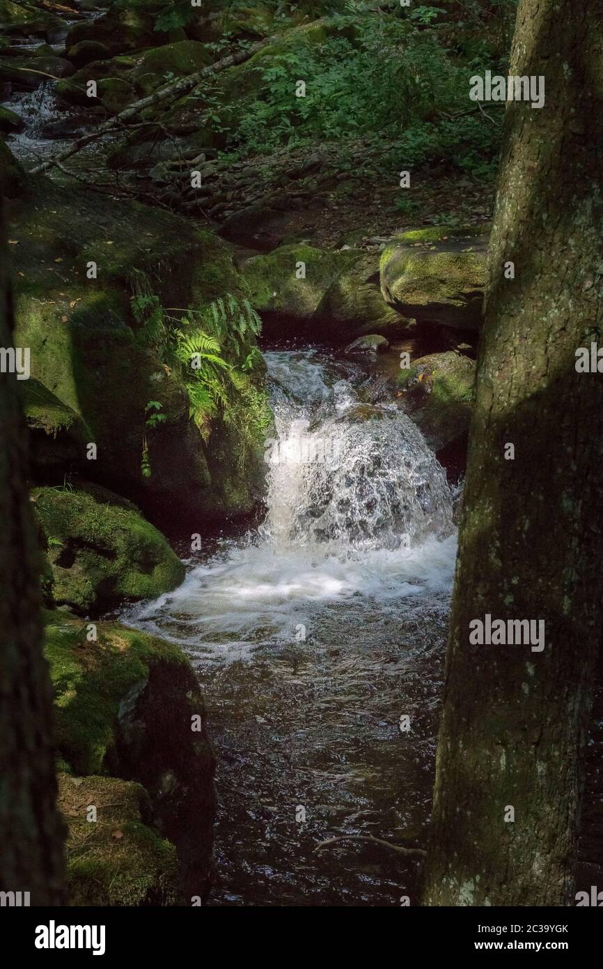 Steinbach wasserfall Fotos und Bildmaterial in hoher Auflösung Alamy