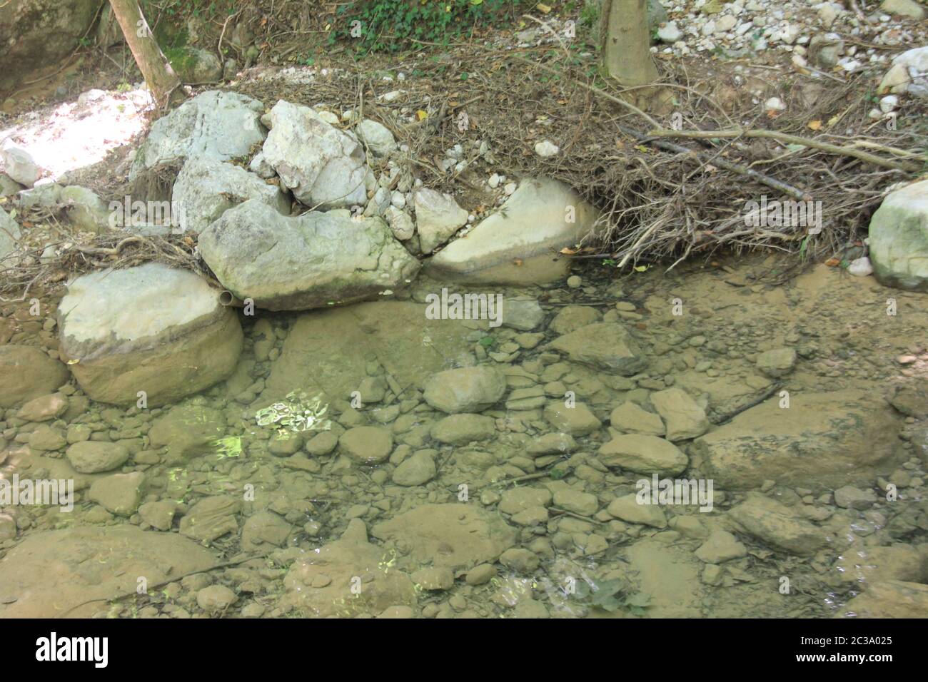 Pi de les Tres Branques und Pre-Pyrenees Stockfoto