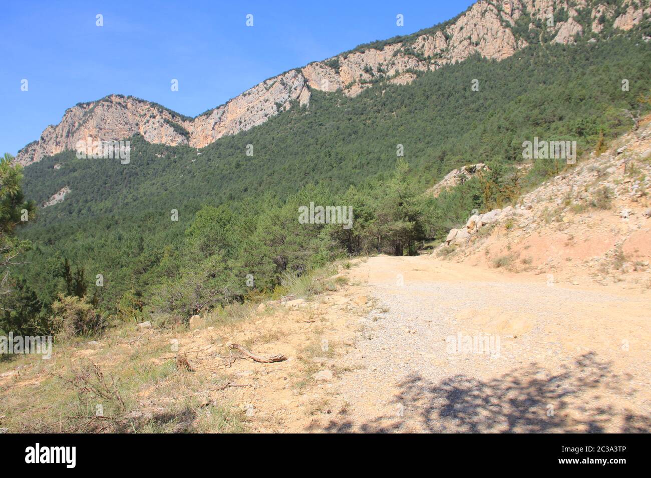 Pi de les Tres Branques und Pre-Pyrenees Stockfoto