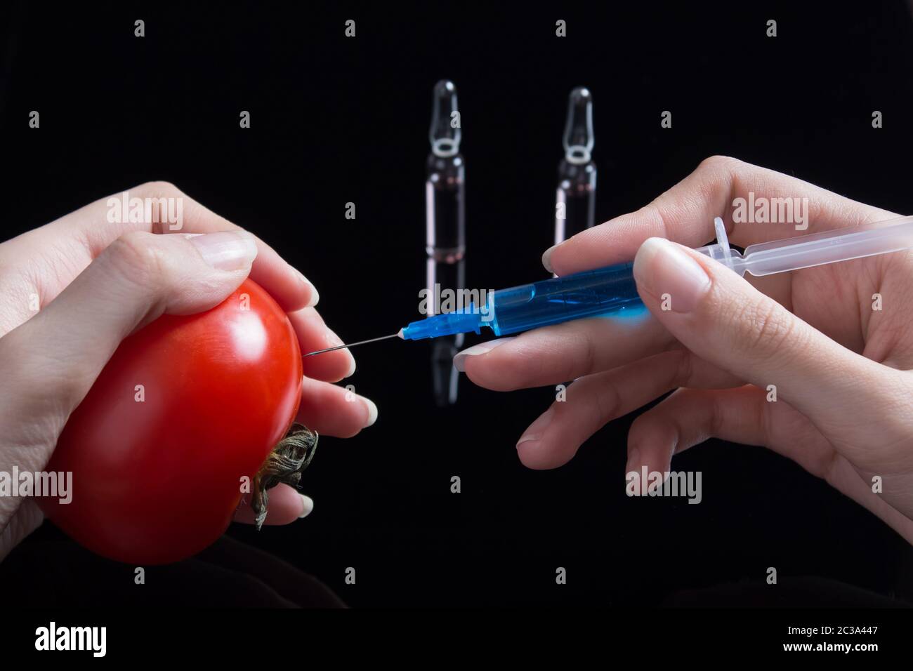 Wissenschaftler Testen von GVO-Pflanzen im Labor auf Tomaten - Biotechnologie und GVO-Konzept. Gvo gentechnisch veraenderte Lebensmittel. Hände halten eine Tomate und eine Spritze Stockfoto