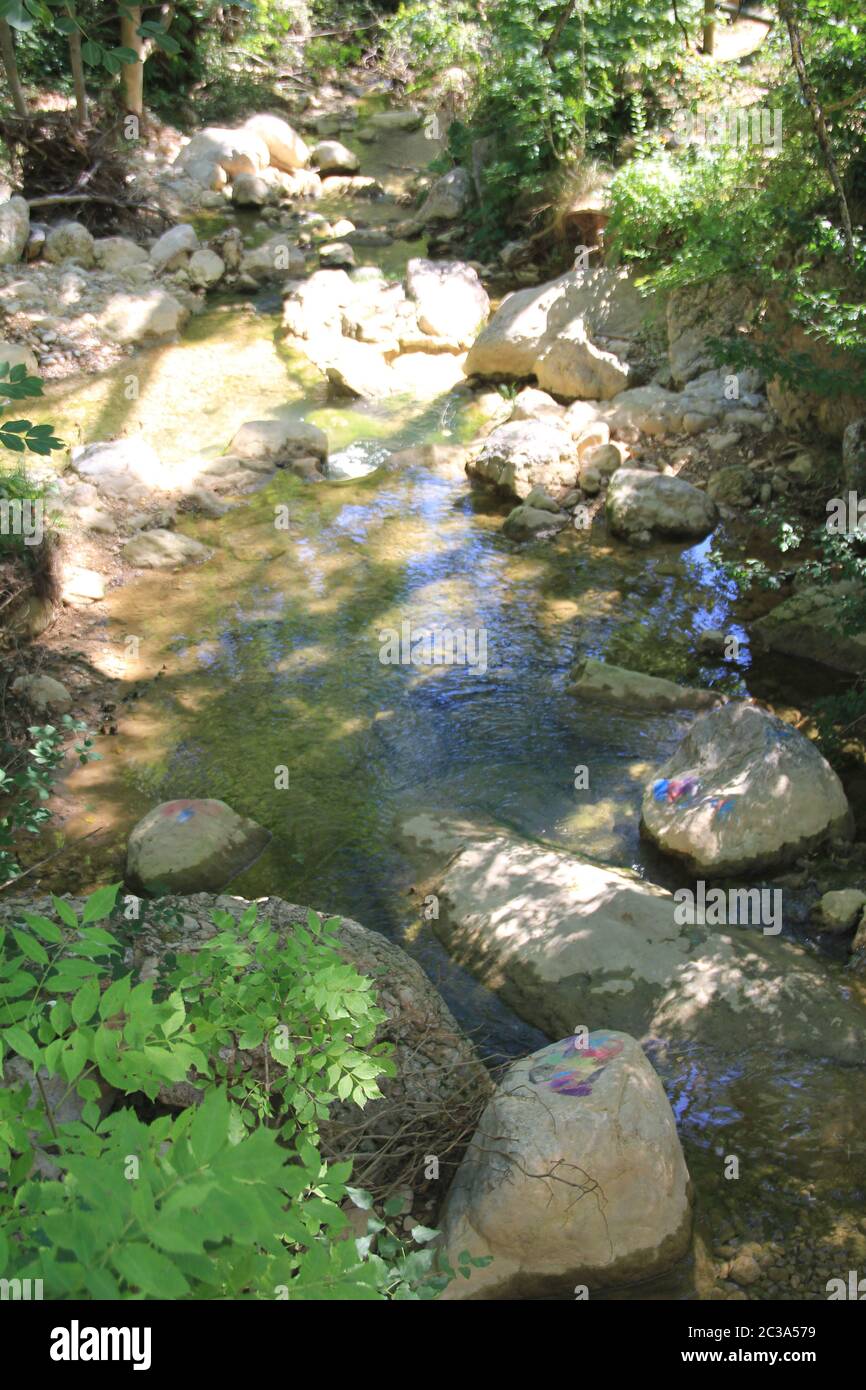 Pi de les Tres Branques und Pre-Pyrenees Stockfoto