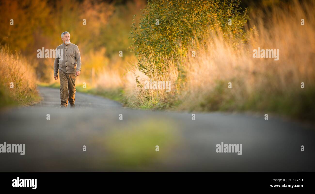 Portrait von Stattlichen älterer Mann im Herbst im Freien. Aktive senioor seinen Ruhestand in der Natur genießen. Stockfoto