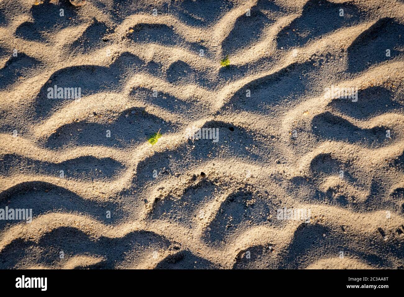 Nahaufnahme der gewellten Sandmuster am Strand, beleuchtet von Sonnenlicht mit starken Schatten und mit einem kleinen grünen Blatt, das oben liegt Stockfoto