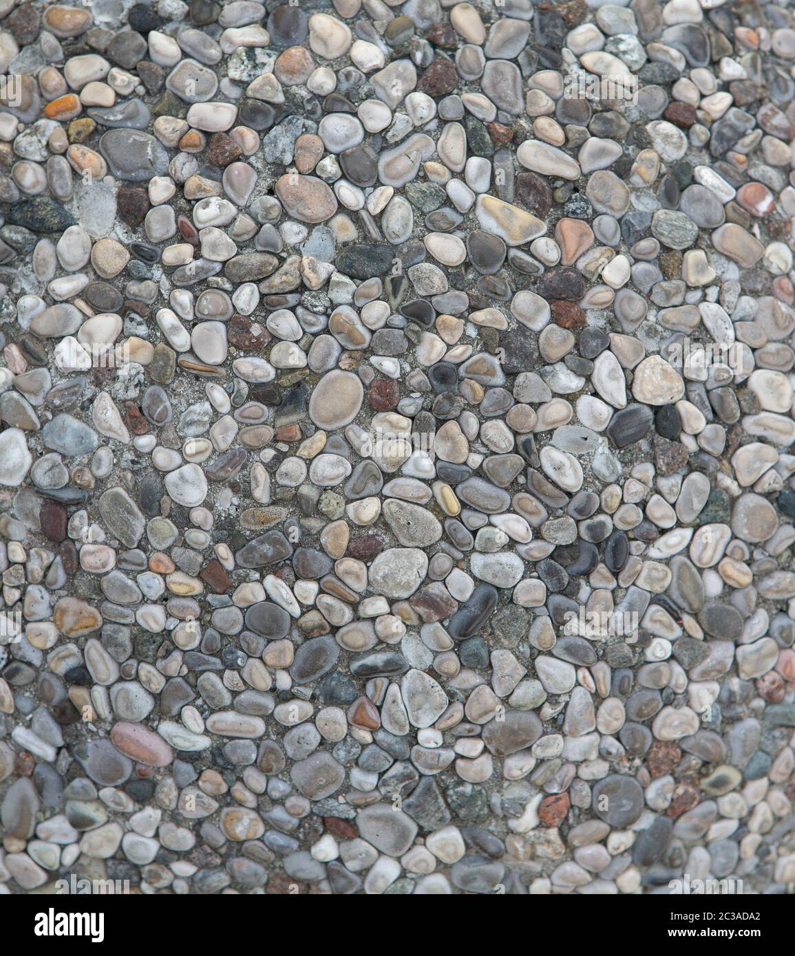 Mehrfarbige Meereskiesel am Pfad im Freien. Kleine runde Steine sind in Zementmörtel. Selektiver Fokus in der Bildmitte. Abstrakte Textur oder Stockfoto