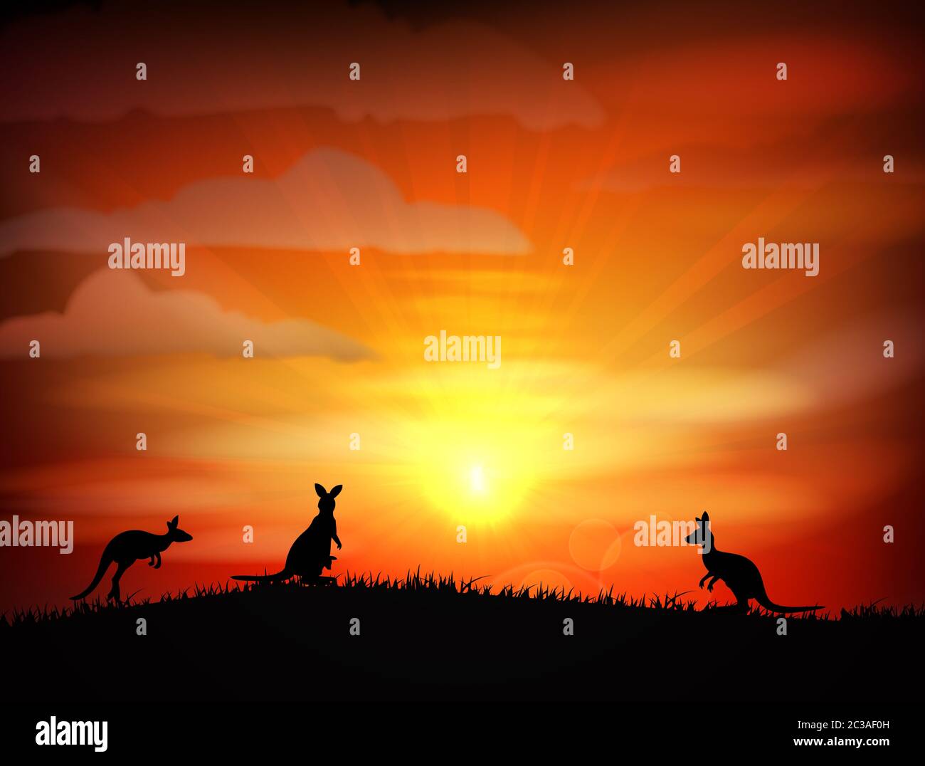 Abbildung: Känguru bei Sonnenuntergang. Vektorgrafiken Stockfoto